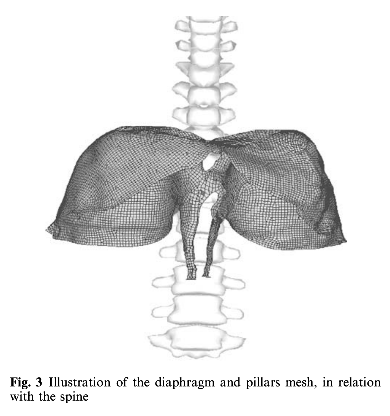 Diaphragm Segmentation in CT Images: A Review of Mathematical and Computational Methods