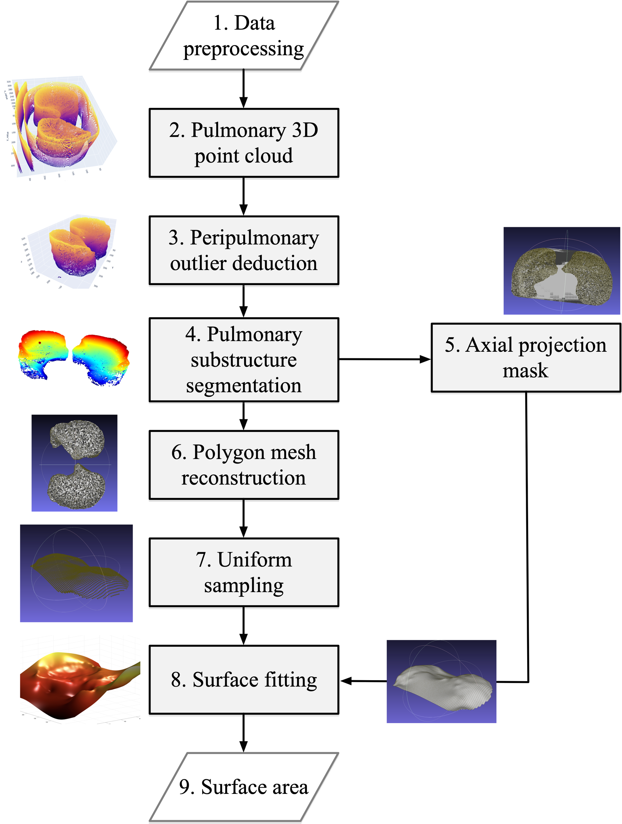 Diaphragm Function Evaluation in COPD Patients Using Chest CT Image Analysis